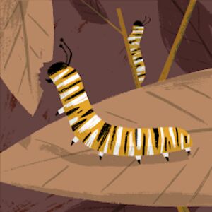 larrygutierrez avatar