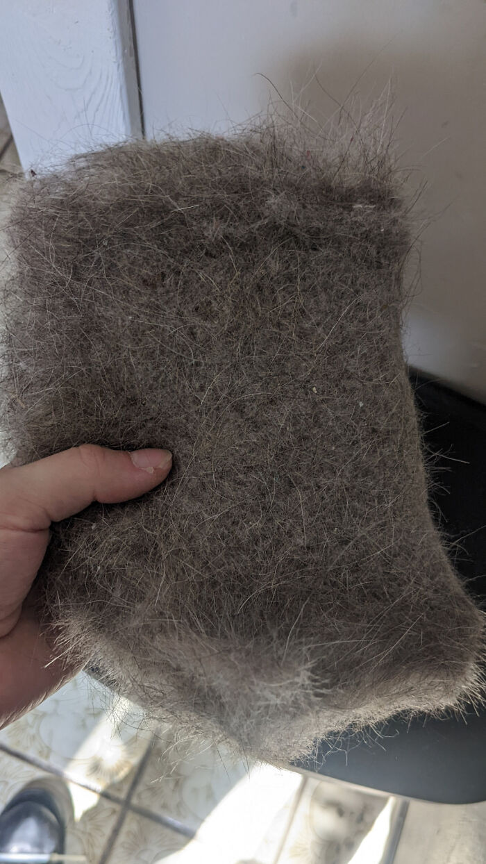My Coworker Drives Me Insane. My Coworker Doesn't Shut Doors, Refuses To Do Dishes, Doesn't Empty The Lint Trap, Etc. This Is What I Pulled Out Of It Today