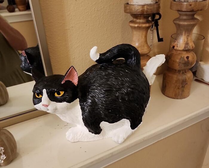 Sure, Why Wouldn't We Want To Pull Tissues Out Of A Cat's Butt? The Cat Butt Tissue Holder - A Not-So-Subtle Reminder That Life Is Full Of Surprises...