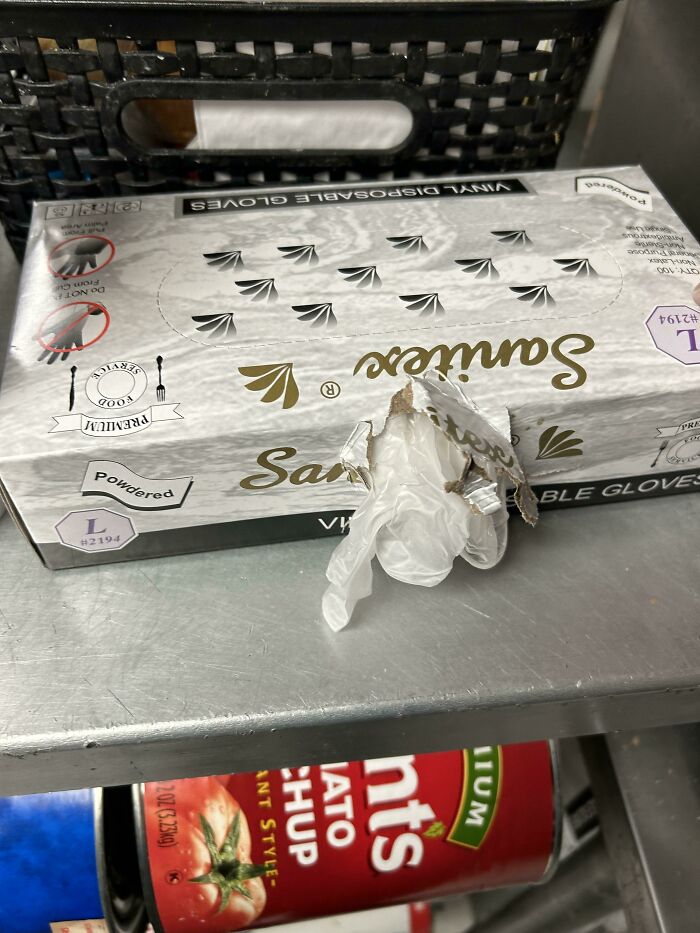 How My Coworker Opens A Box Of Gloves With A Perforated Top