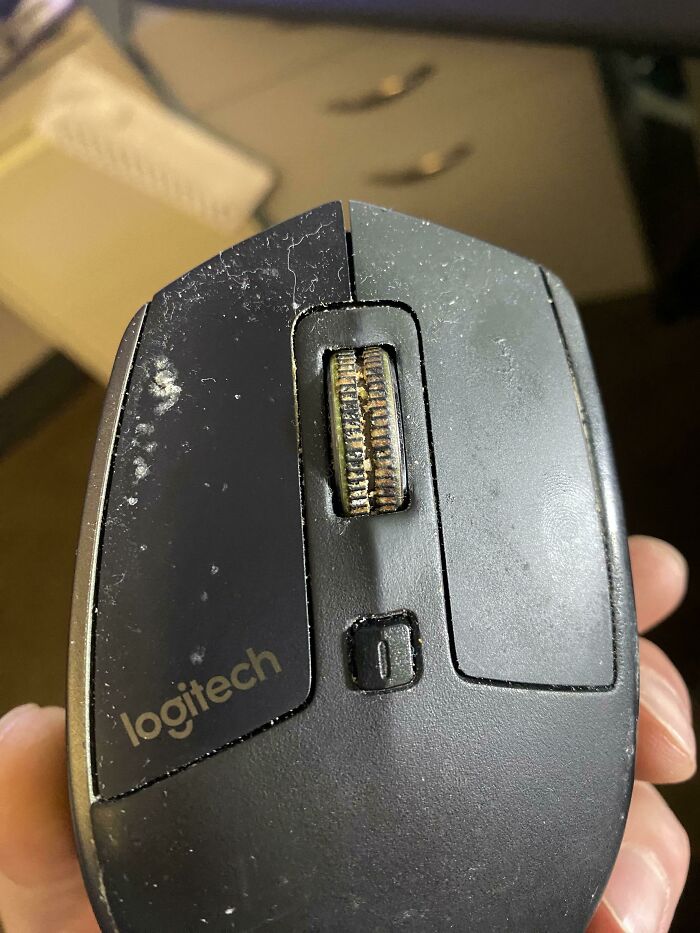 This Mouse My Coworker Set Up At Our Workstation
