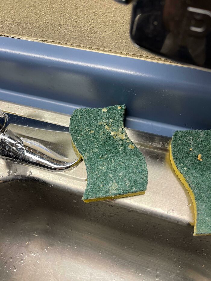 This Is How My Coworkers Leave The Sponges After Washing Their Dishes