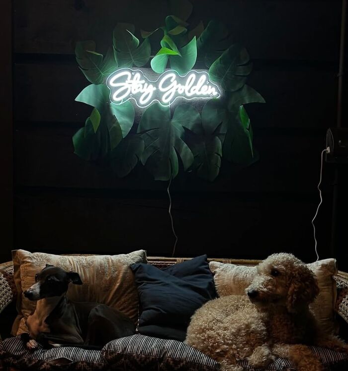 Off The Wall And Onto The Lights With A Custom Neon Sign! When 'Glow'ing Declarations Illuminate Your Personality!