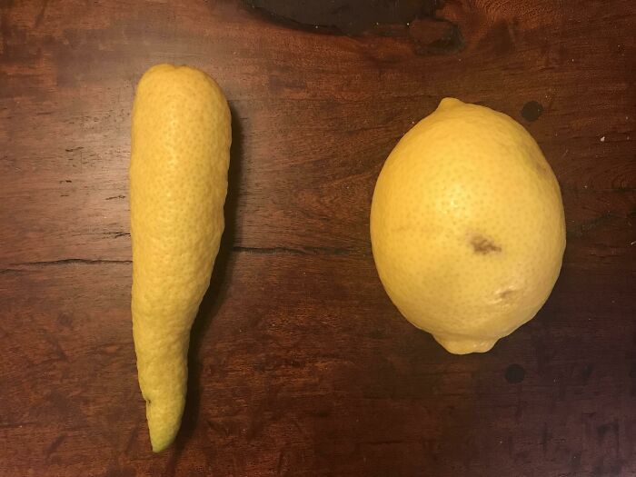 My Mom Found A Lemon From Our Tree That's Shaped Like A Carrot. Normal Lemon For Comparison