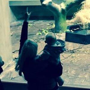 s_cucciniello avatar