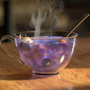 elizabethwalker_2 avatar