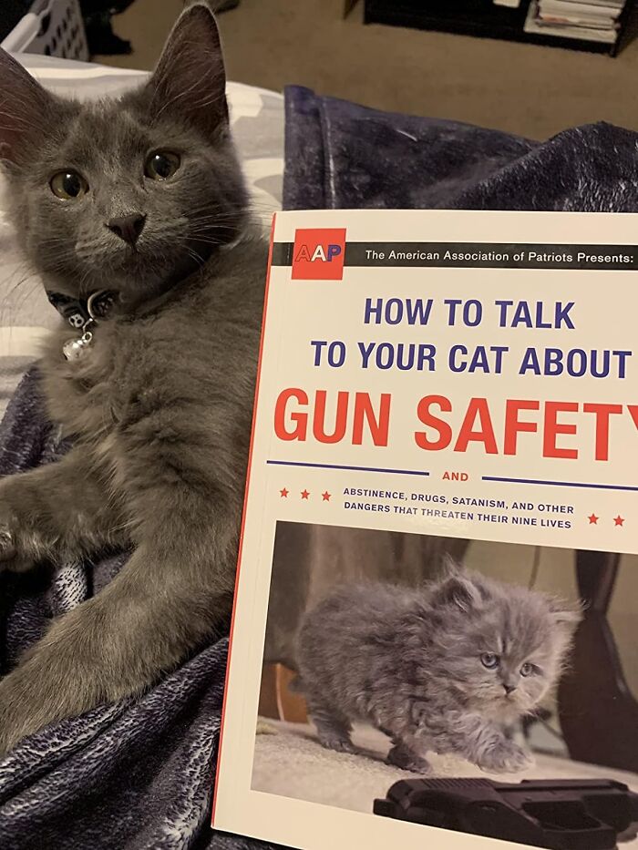 Really? A Guide On Discussing Gun Safety And Satanism With Your Cat? You're Honestly Considering Teaching Fluffy About The Nine Circles Of Hell And Protection Against Firearm Misuse? Okay Then, Here You Go: How To Talk To Your Cat About Gun Safety And Other Dangers!