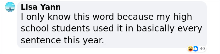 Comment highlighting a term popular among Gen Z, mentioned by a teacher with high school students. Comment highlighting a term popular among Gen Z, mentioned by a teacher with high school students.