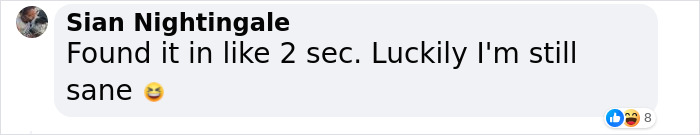 “I’m Losing My Mind”: People Go Crazy Trying To Spot The Snow Leopard Hidden In This Photo “I’m Losing My Mind”: People Go Crazy Trying To Spot The Snow Leopard Hidden In This Photo