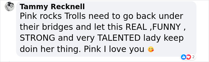 “I Still Wear A Leotard To Work”: Pink Slams Troll Calling Her “Old” On Social Media “I Still Wear A Leotard To Work”: Pink Slams Troll Calling Her “Old” On Social Media