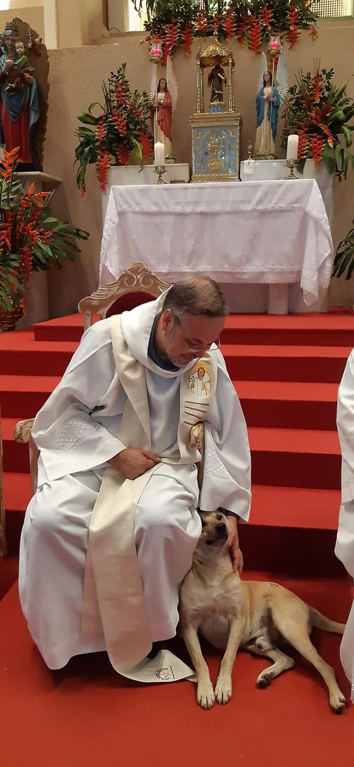 This Loving Priest Continues To Collect Stray Dogs At His Church, Encouraging People To Adopt Them