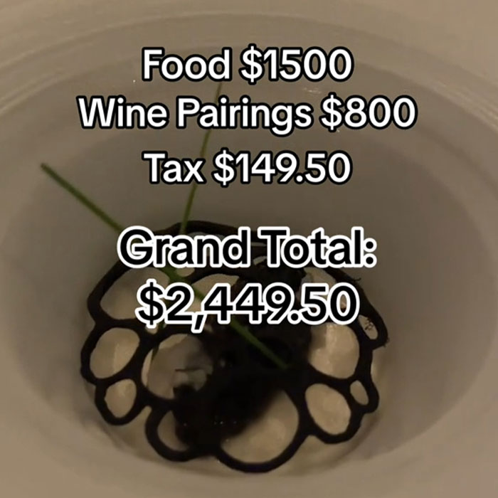 “I Was Called Poor 20 Times”: Woman Shows $2.5k Restaurant Bill For Dinner At Disney World “I Was Called Poor 20 Times”: Woman Shows $2.5k Restaurant Bill For Dinner At Disney World