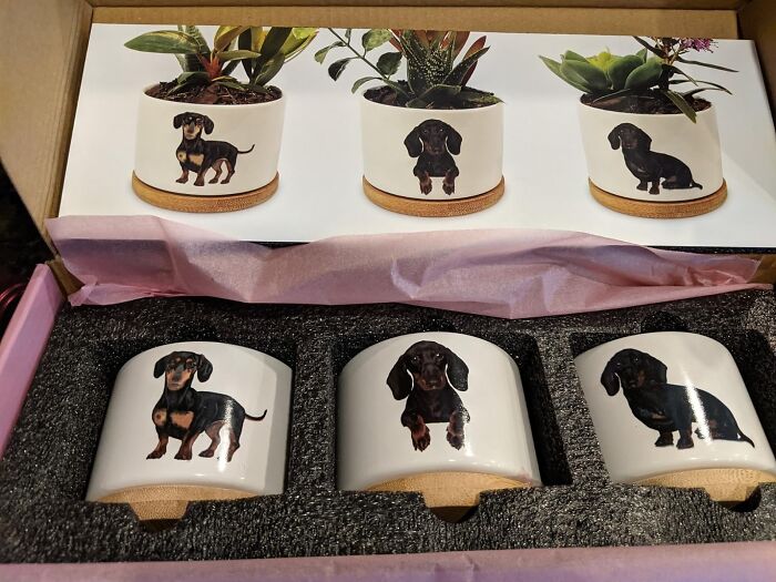And Now, A Product That Finally Unites Our Love For Plants And Dogs: Pretty Weiner Dog Plant Pots. For When Your Green Thumb Has A Hint Of Furry Enthusiasm