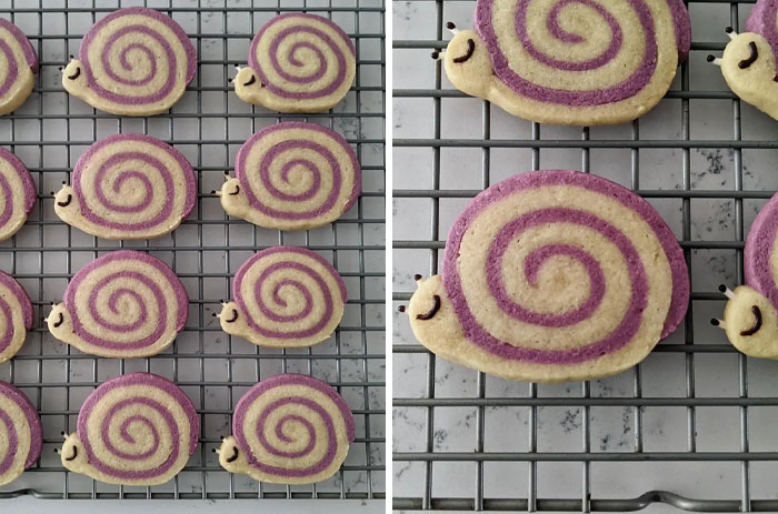 I Call Them "Snookies" (Snail Cookies)