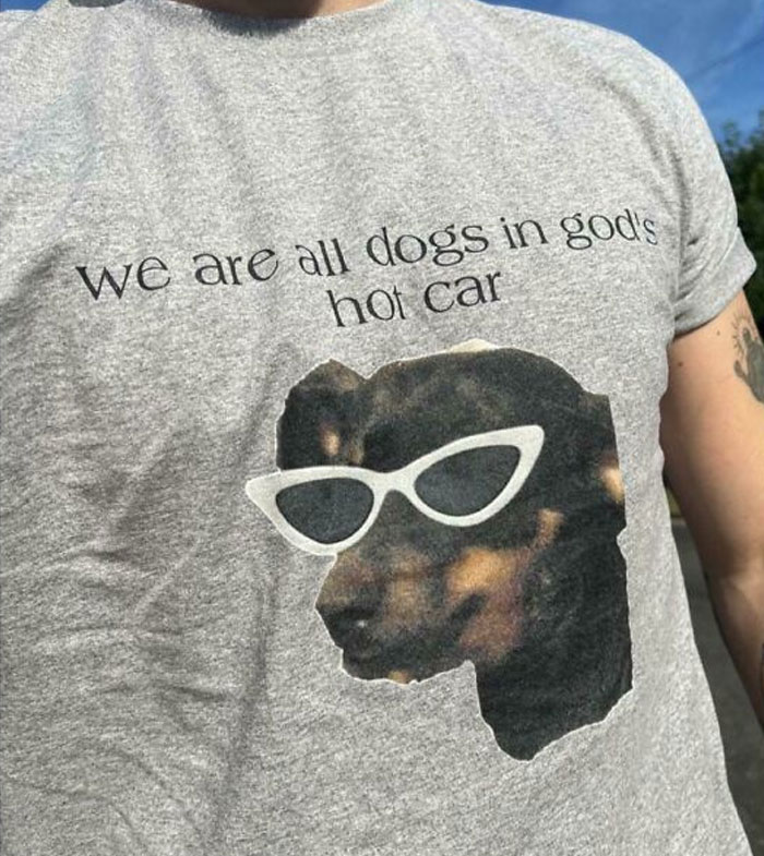 Todos somos perros en el coche caliente de dios