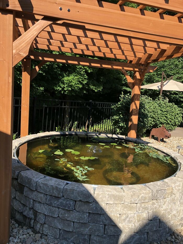 Small lotus pond with a roof in a backyard 