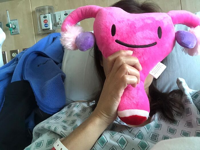 Give The 'Womb' A Hug! Introducing Ivy The Uterus - Stuffed Toy - Because Nothing Says Educational And Adorable Quite Like A Plush Uterus!