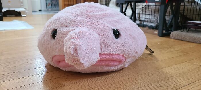 Because Who Wouldn't Want A Plushie Of The Ugliest Animal On Earth? Make Sophisticated Home Decor Choices With The Stuffed Blobfish Plush. For When You Wish To Cuddle, But Mistakenly Hugged Your Mirror Image Instead.