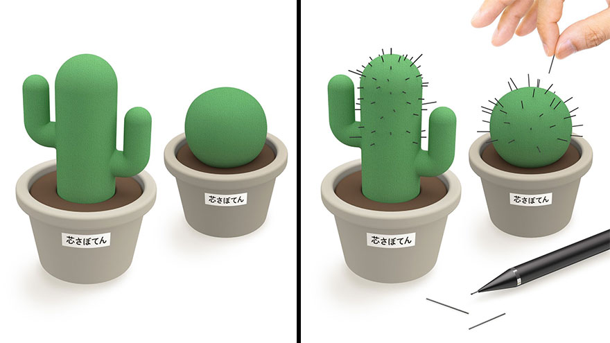 I Thought Of Growing A Cactus Using Broken Cores Instead Of Water. If You Leave It In The Classroom, Everyone Can Grow It Together