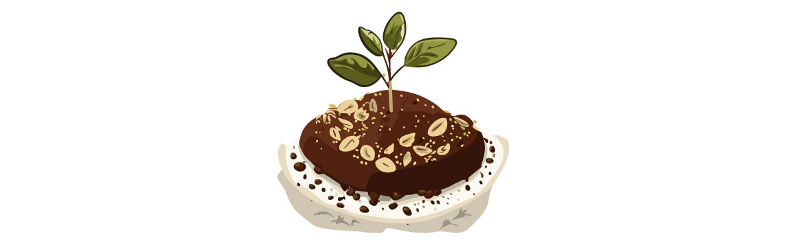 illustration of growing plant illustration of growing plant