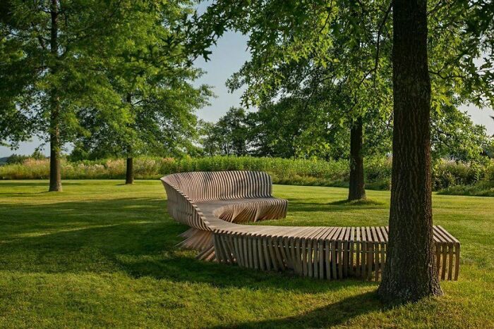 Unique wooden bench in a backyard surrounded by trees 
