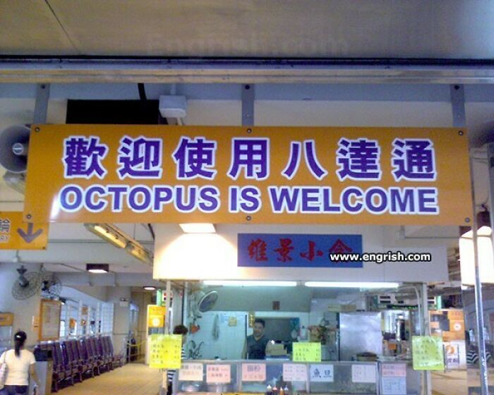 Octopus Is Welcome