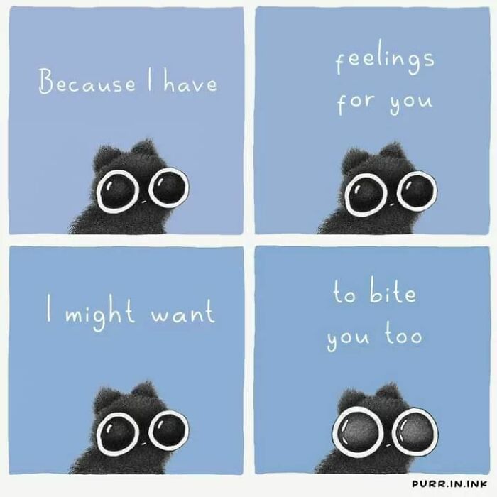 Illustration of a black cat with large eyes expressing quirky feelings, capturing the essence of cats perfectly.