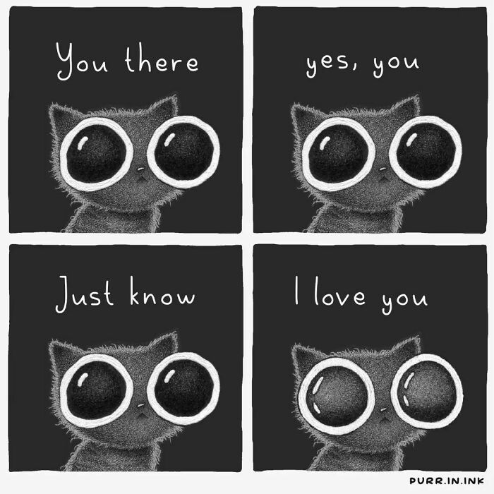 Illustration of a black cat with big eyes in four panels, capturing the essence of cats perfectly with a loving message.