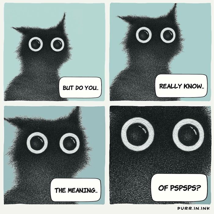 Illustration of a black cat with wide eyes in four panels, capturing the essence of cats with humor and charm.