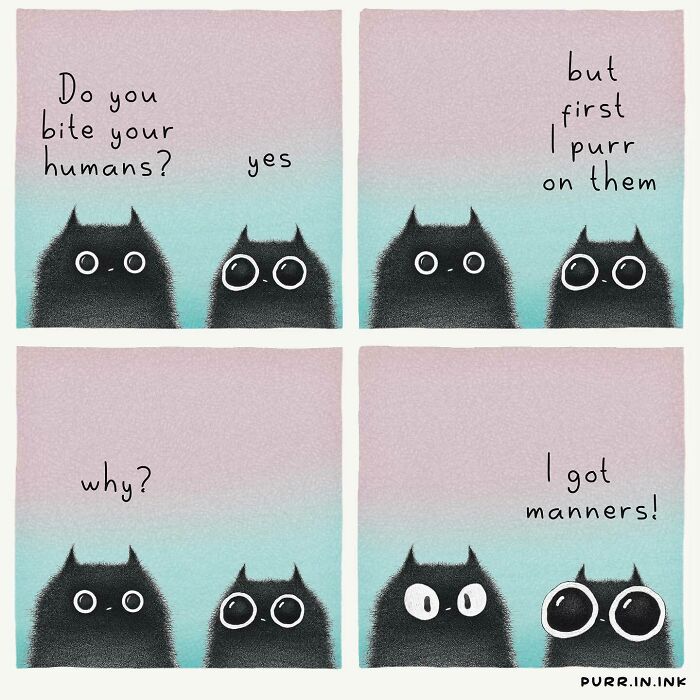 Black cats with big eyes in a comic style illustration capturing the essence of cats with humor and charm.