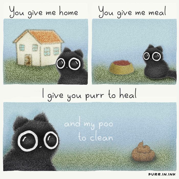 Illustration capturing the essence of cats with a black cat, a house, food bowl, and playful humorous text.