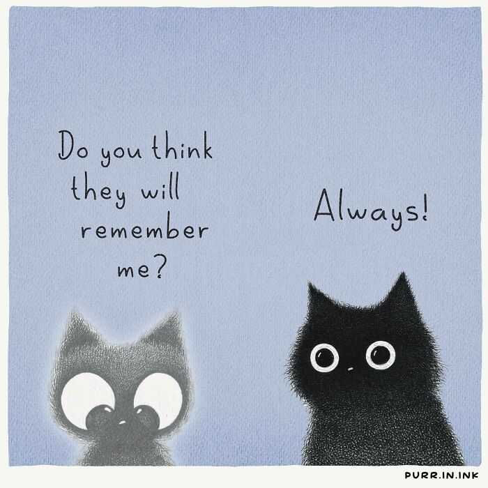 Two black cat illustrations with big eyes under text asking if they will be remembered and the reply always, capturing the essence of cats.