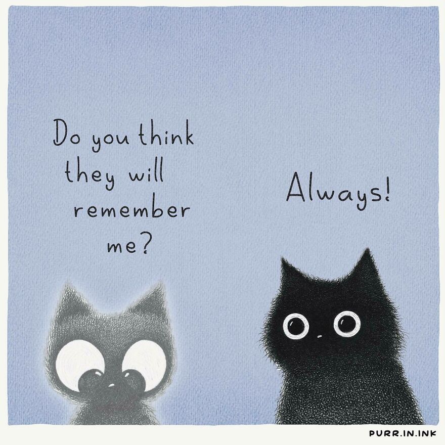 Comics In Which Cats Express Their Thoughts, Ideas And Doubts About Us (New Pics)