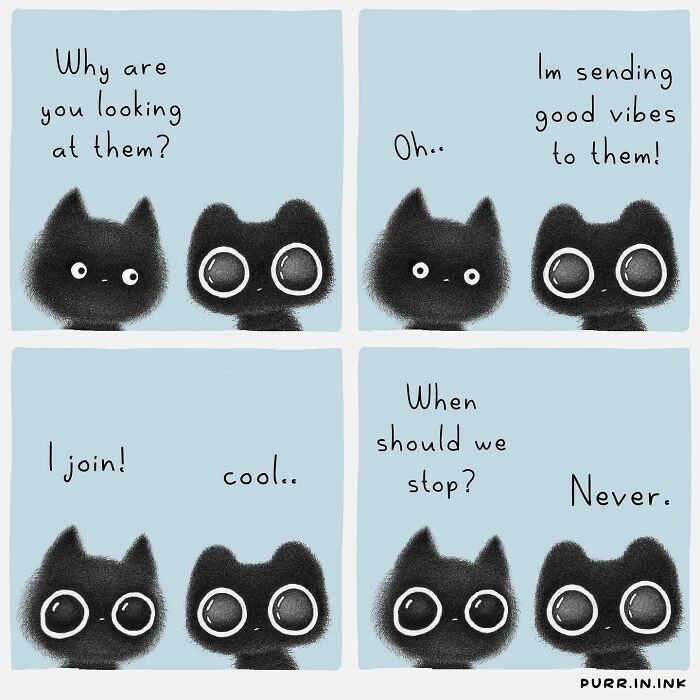 Two black illustrated cats with big eyes exchanging dialogues, capturing the essence of cats through charming illustrations.
