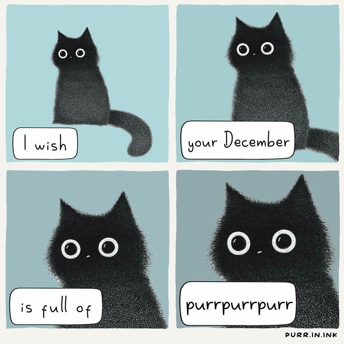 Illustration of a black cat with big eyes in four panels, capturing the essence of cats with playful text bubbles.