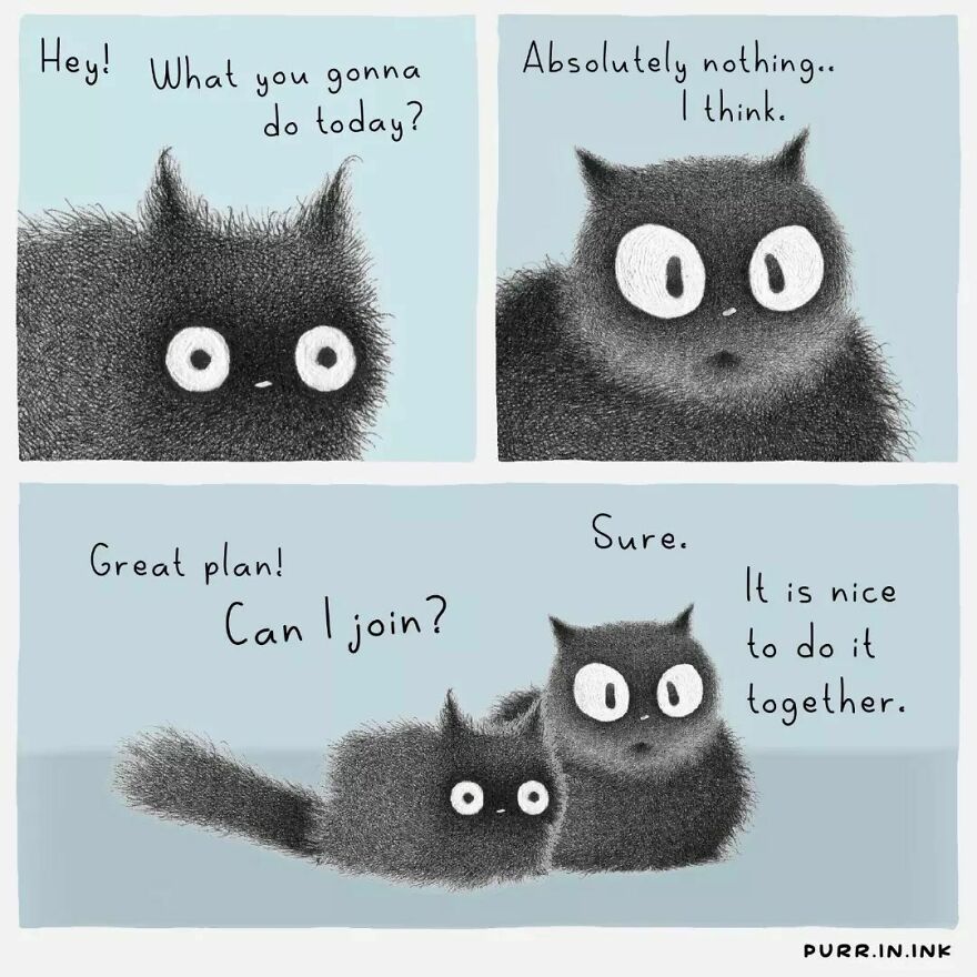 Comics In Which Cats Express Their Thoughts, Ideas And Doubts About Us (New Pics)