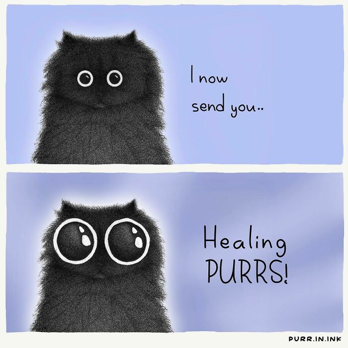 Illustration of a fluffy black cat with big eyes sending healing purrs in an artistic cat illustration style.