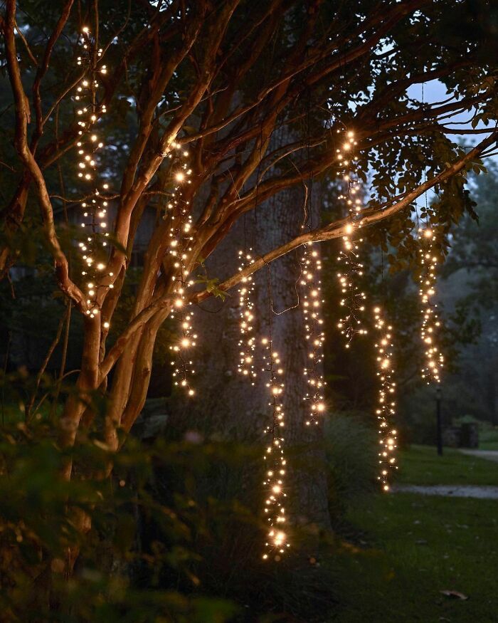 Outdoor Lights hanging from a tree 