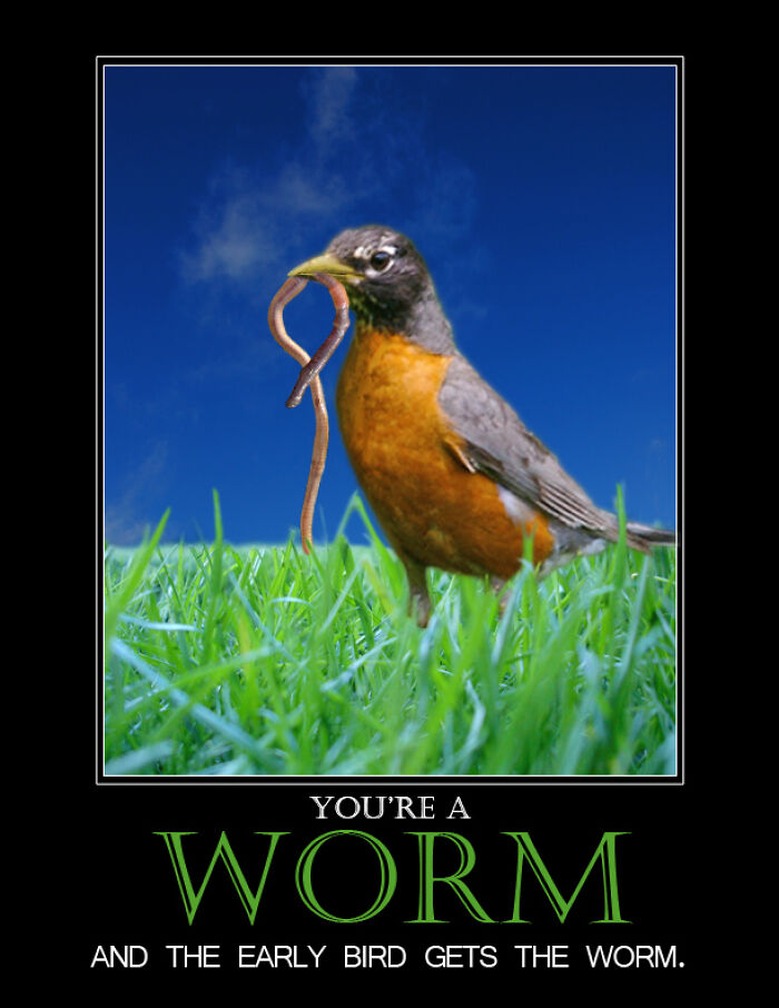 Designers Are Challenged To Create Demotivational Posters And Here Are The "Worst"