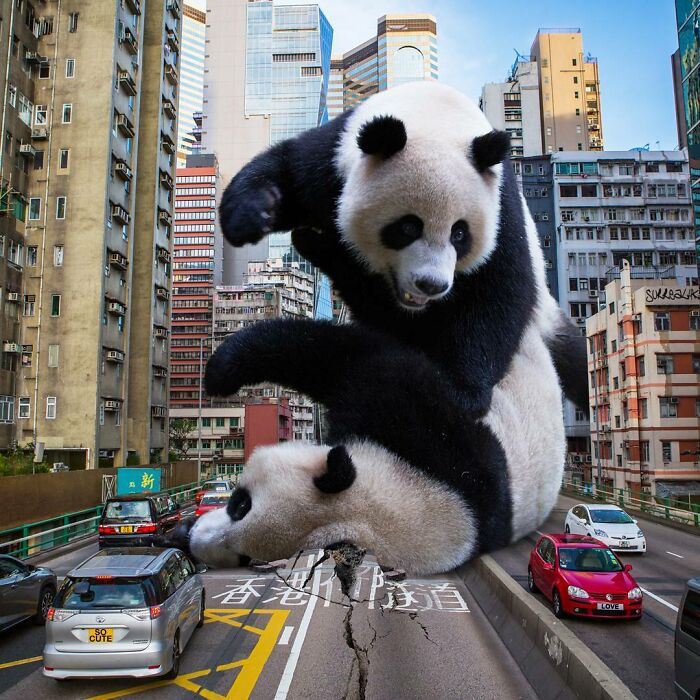 Digital Artist Shows What Hong Kong Would Be Like If Giant Animals Invaded It (34 Pics)