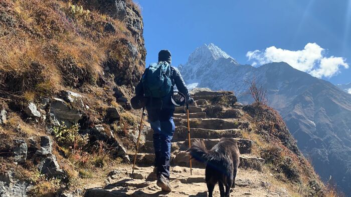 12 Days To Everest: Trekking With A Furry Friend