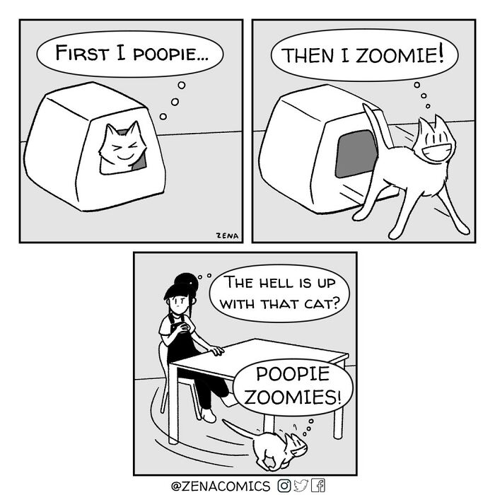 A Comic About Cat Zoomies