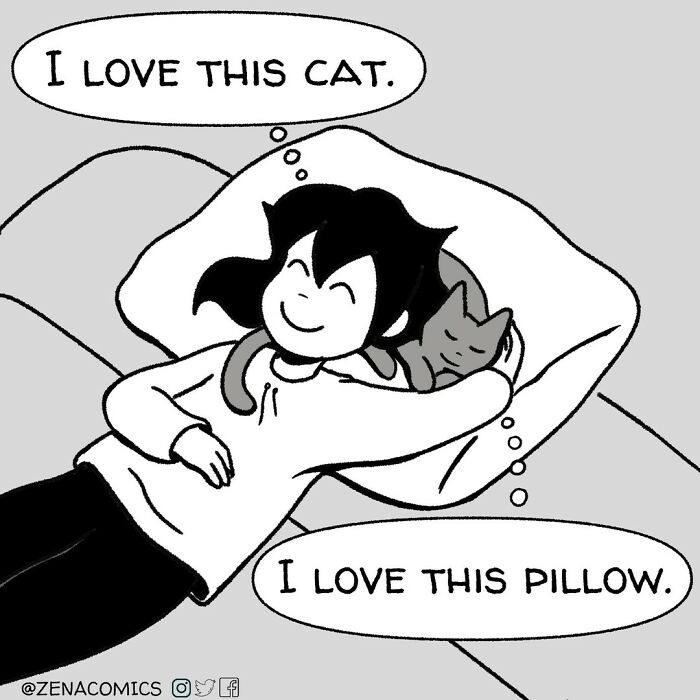 A Comic About Loving Cats