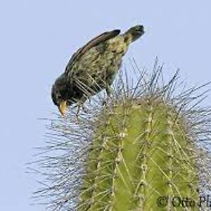 jeanlouisesummers avatar