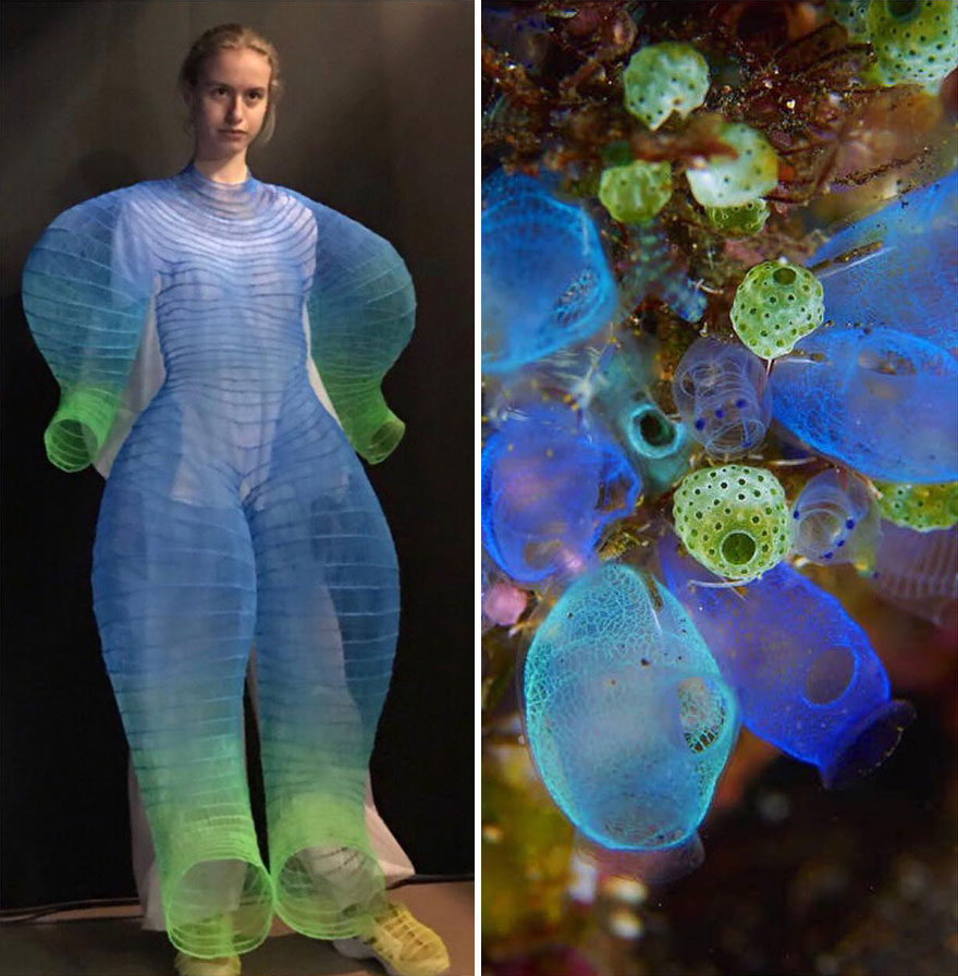 Fashion Often Draws Inspiration From Nature And This Instagram Account Proves It (28 New Pics )