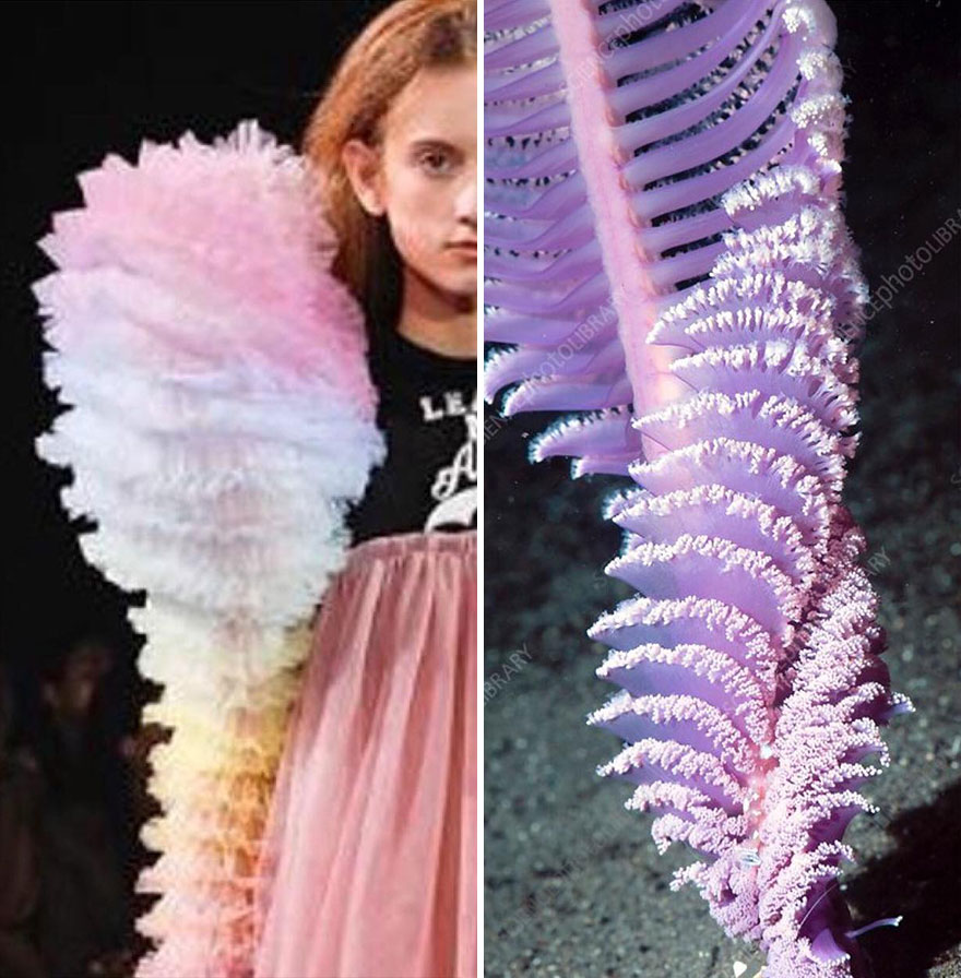 Fashion Often Draws Inspiration From Nature And This Instagram Account Proves It (28 New Pics )