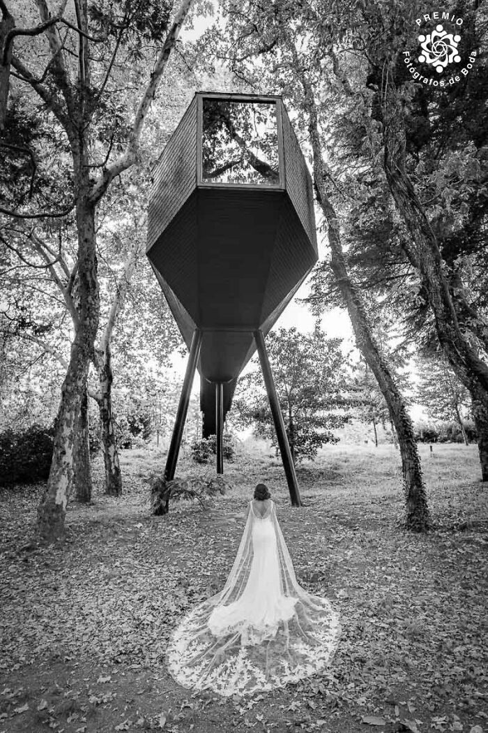 Imagine A UFO For My Wedding! By Santiago Moldes