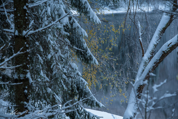 I Captured Frosty Autumn