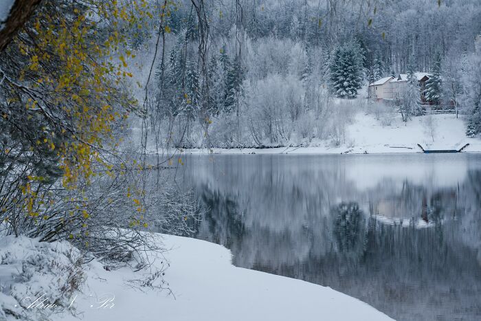 I Captured Frosty Autumn