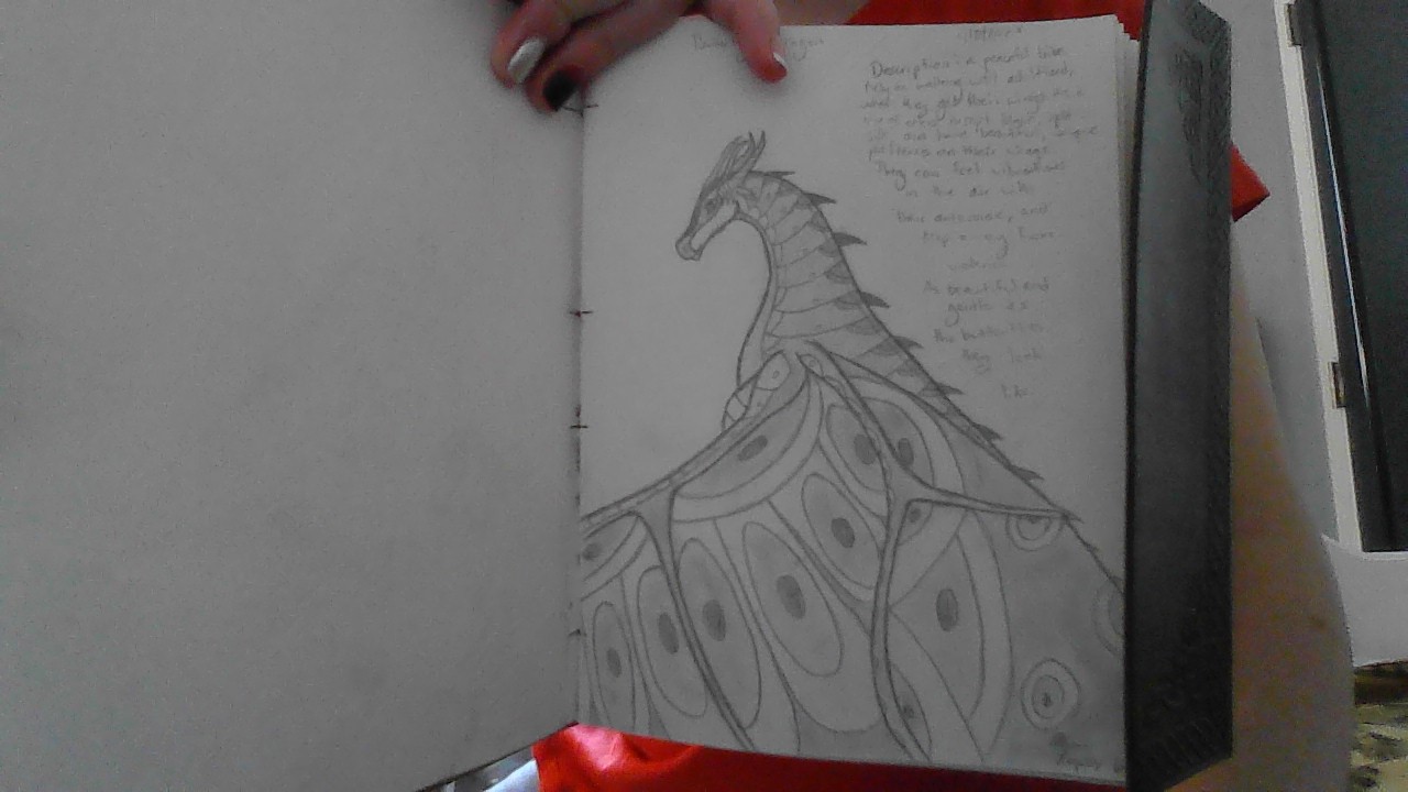 Hey Pandas, How Well Can You Draw A Dragon?